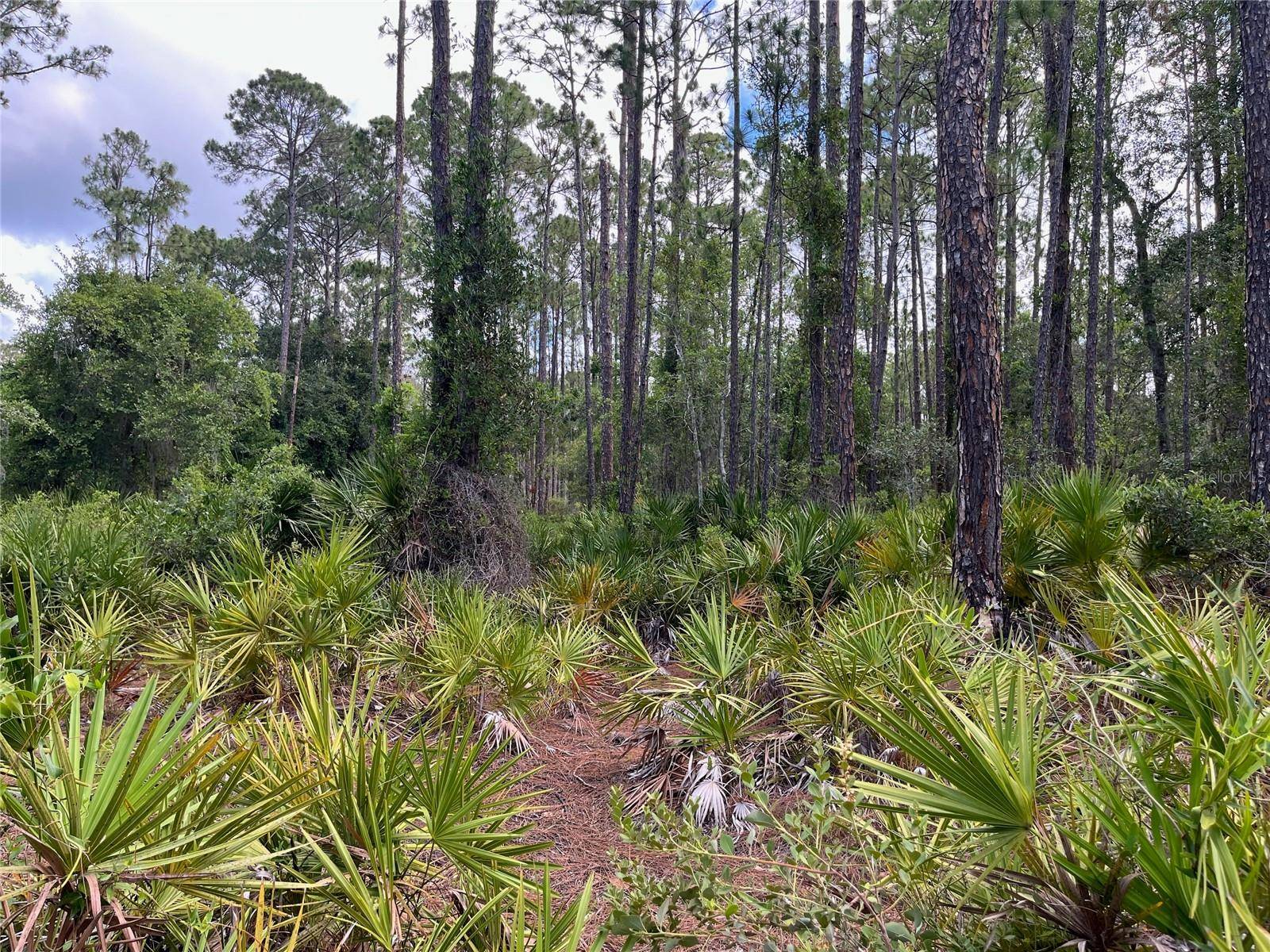 222 MARIE AVE, Georgetown, FL 32139