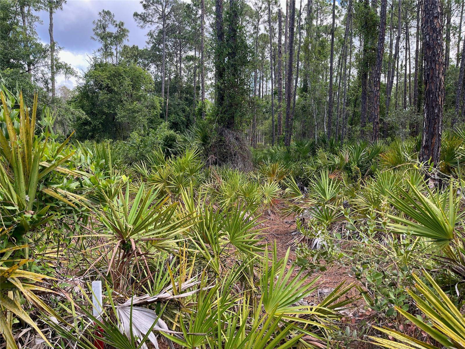 222 MARIE AVE, Georgetown, FL 32139