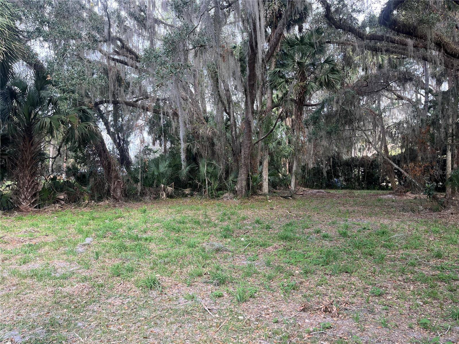 183RD AVE, Hawthorne, FL 32640