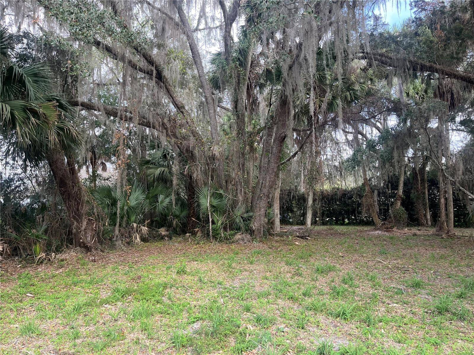 183RD AVE, Hawthorne, FL 32640