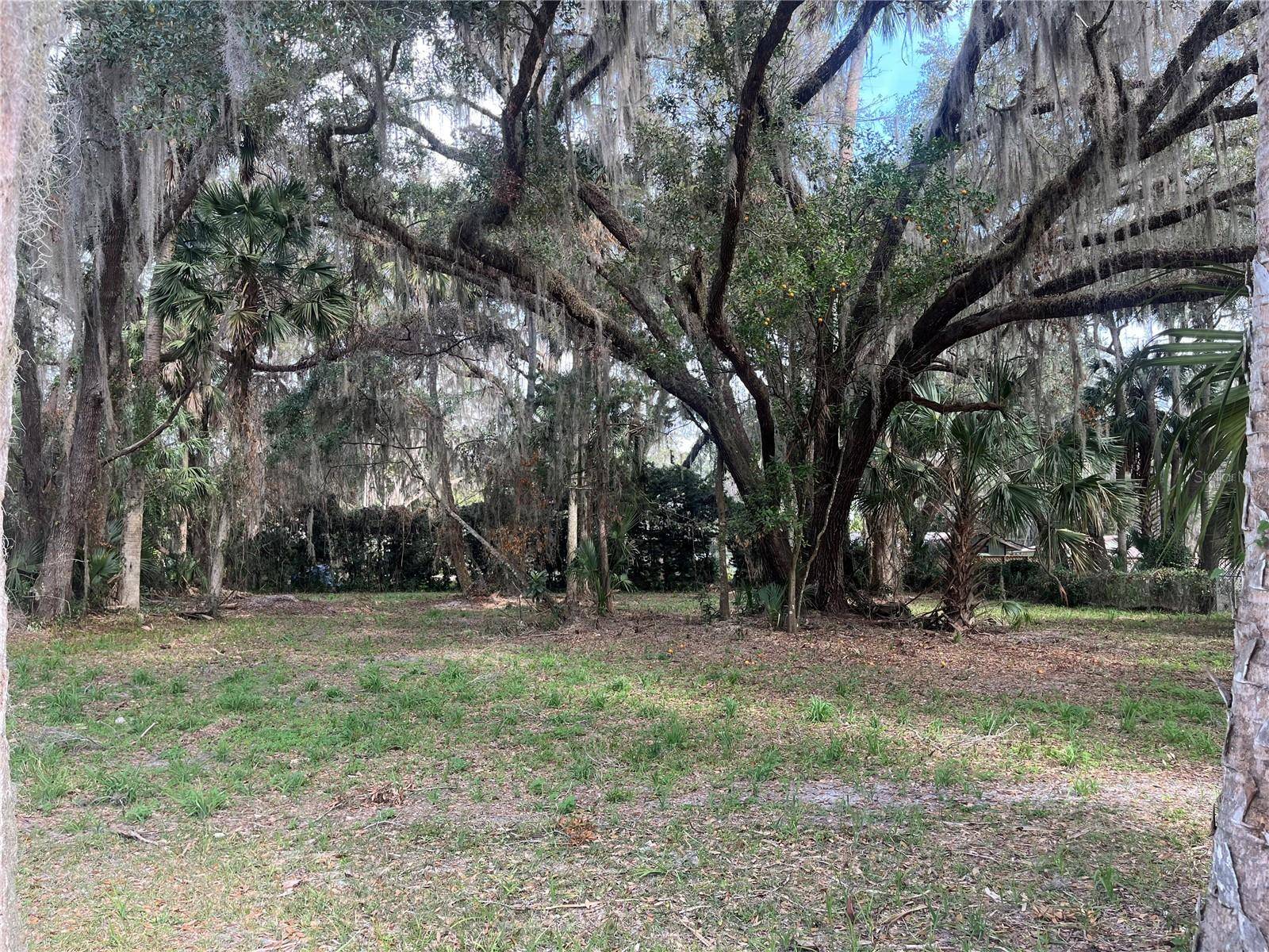 183RD AVE, Hawthorne, FL 32640