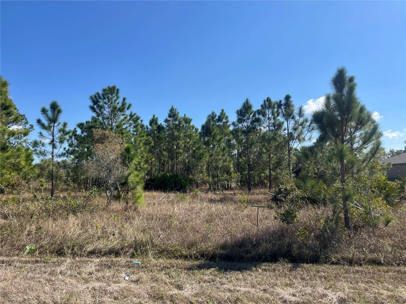 1247 BRUNELL AVE, Fort Myers, FL 33913