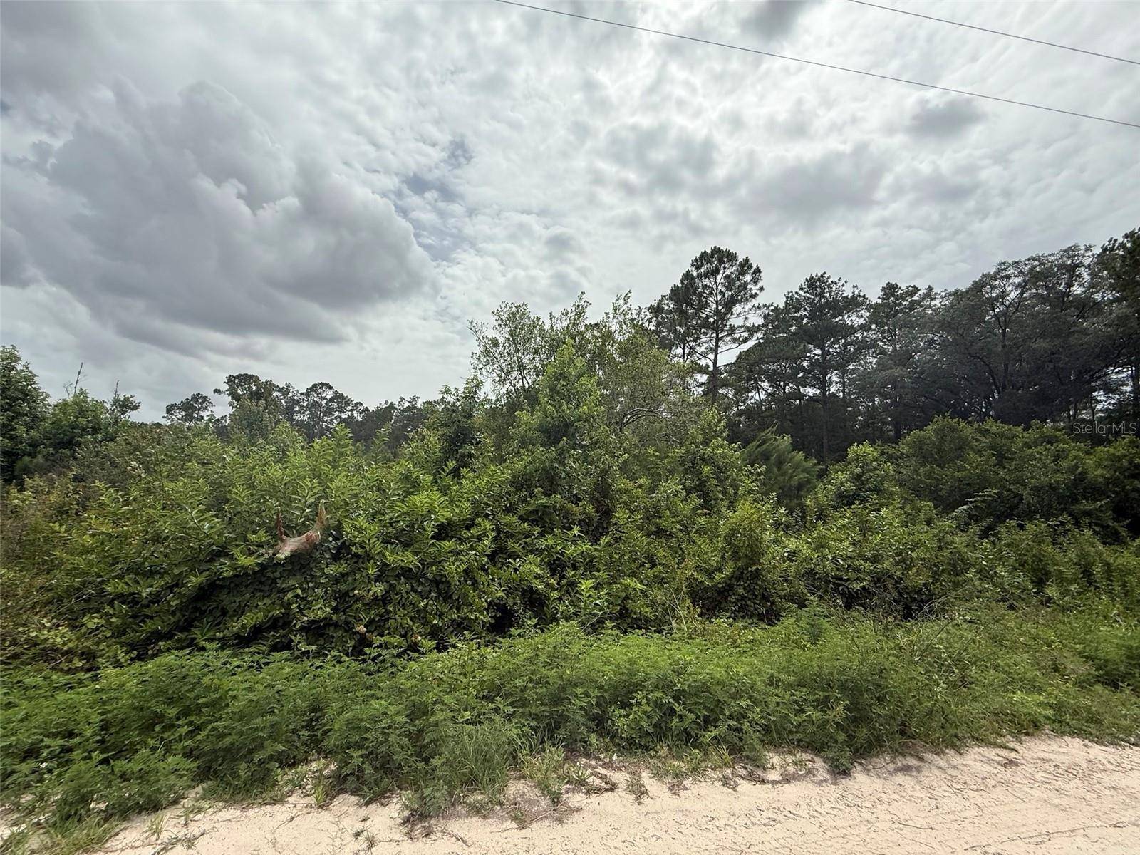 129 FISHERMANS DR, Interlachen, FL 32148
