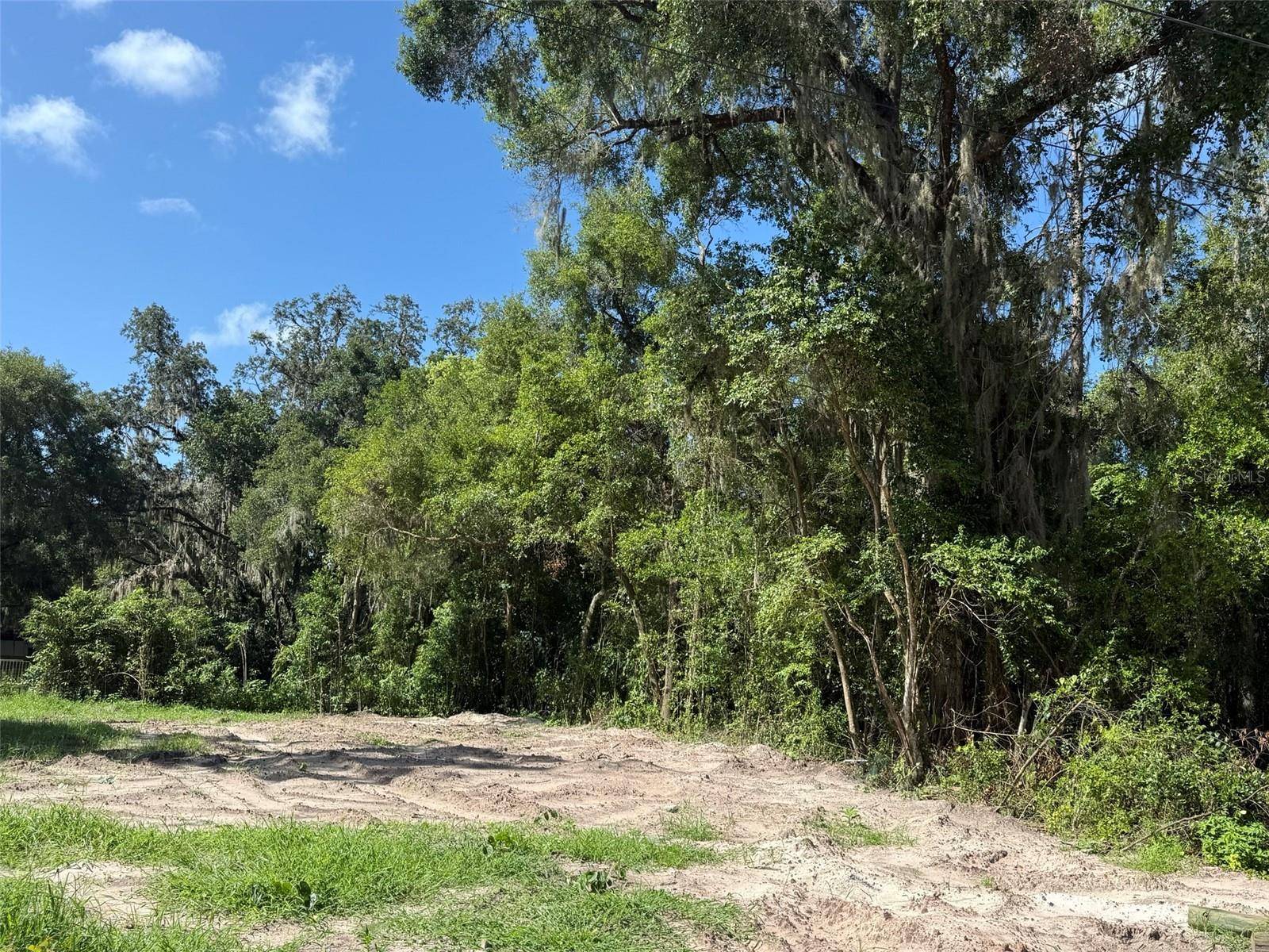115 RODDY LN, Palatka, FL 32177