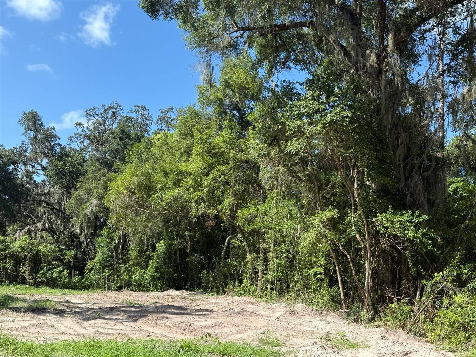 115 RODDY LN, Palatka, FL 32177