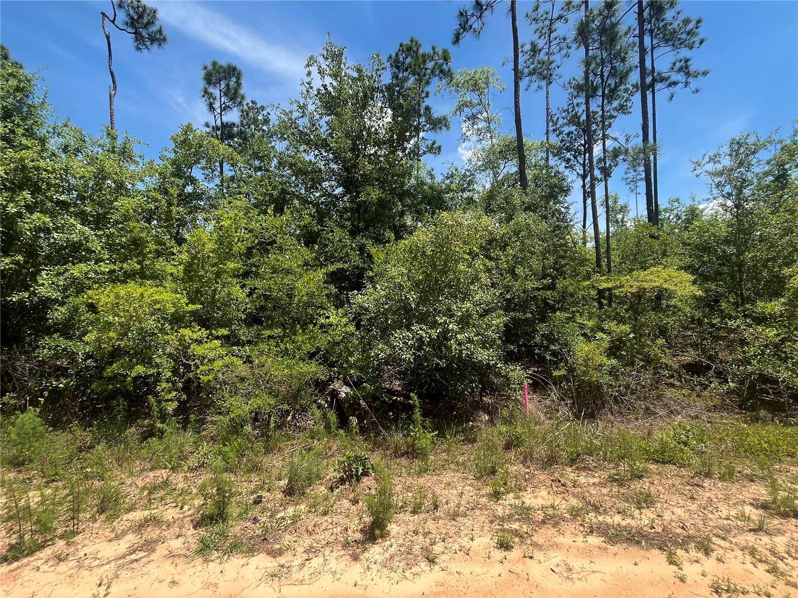 TAMARAC RD, Marianna, FL 32448