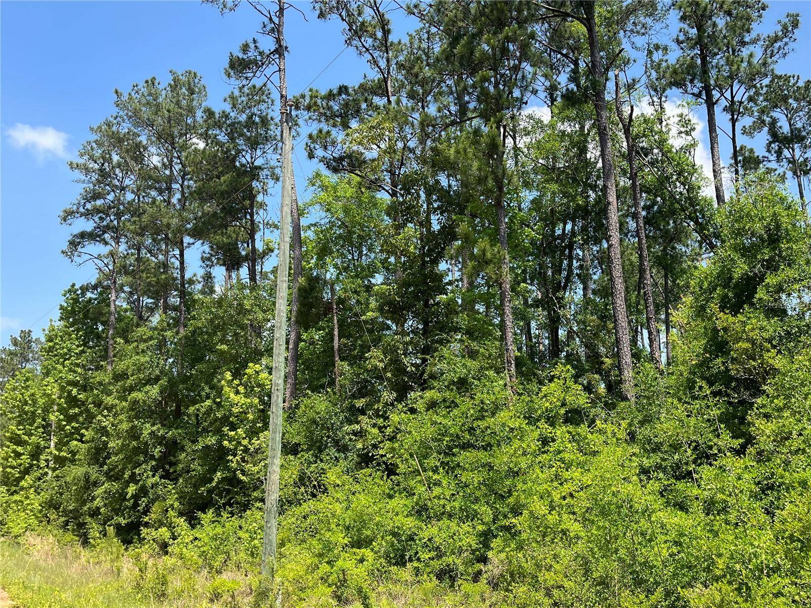 TBD GRAND QUIVIERA CIR, Alford, FL 32420