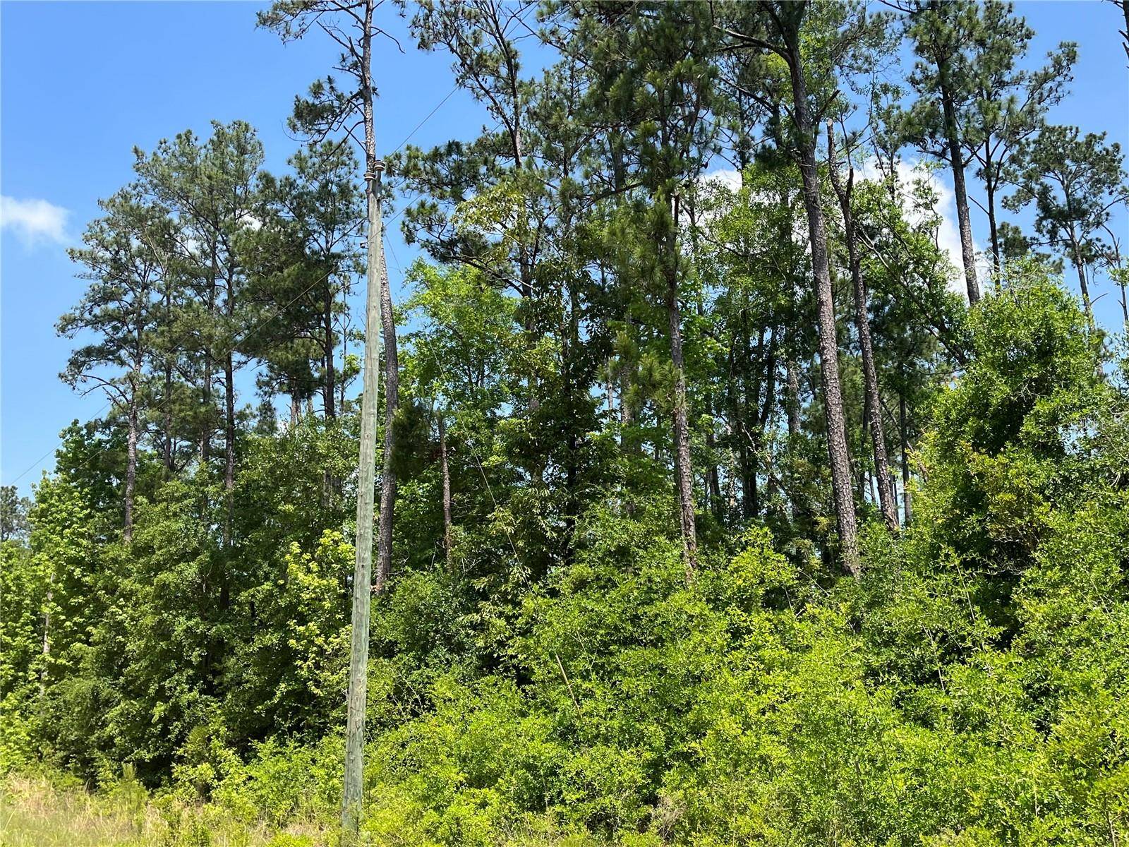 TBD GRAND QUIVIERA CIR, Alford, FL 32420