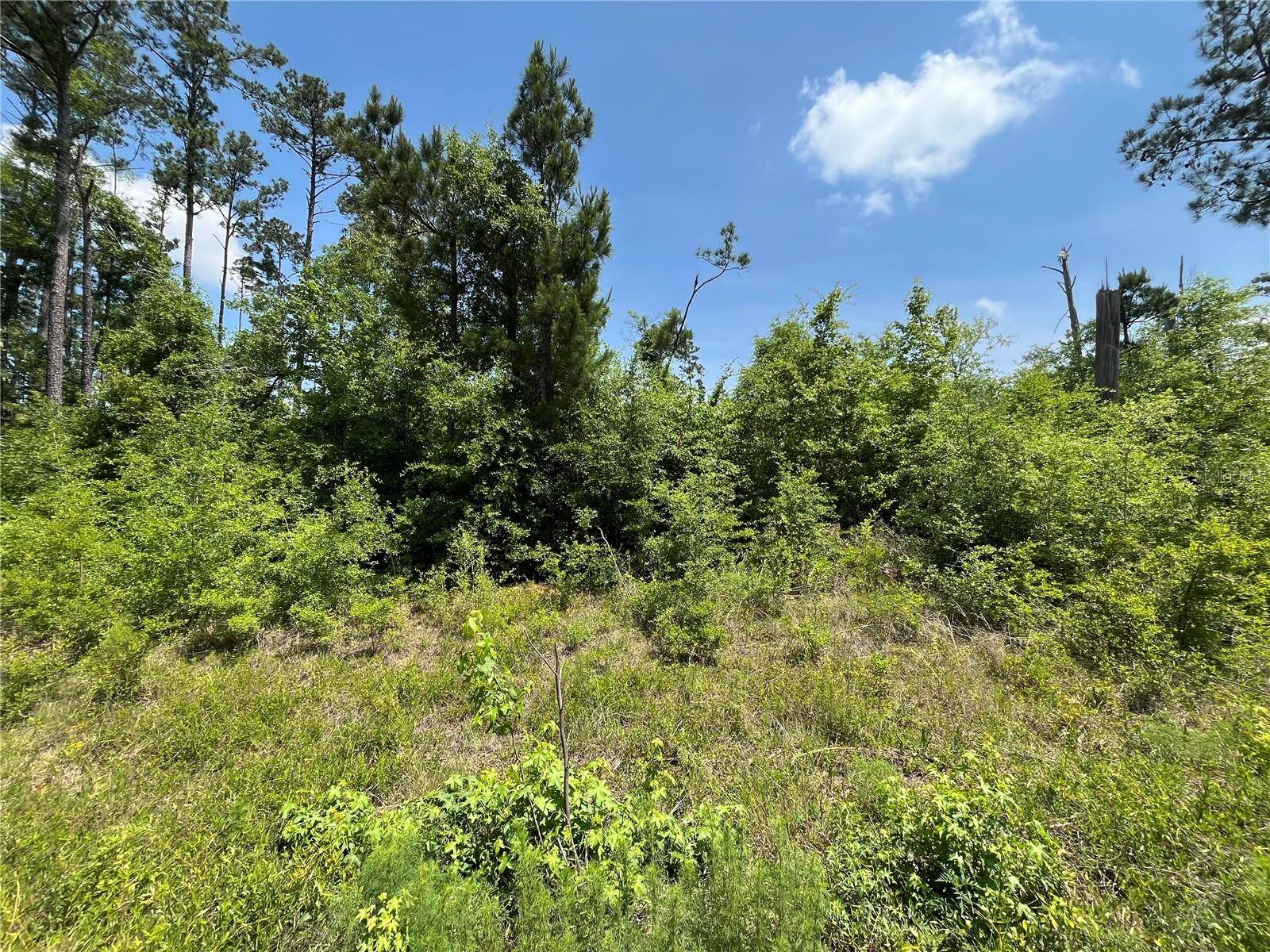 TBD GRAND QUIVIERA CIR, Alford, FL 32420