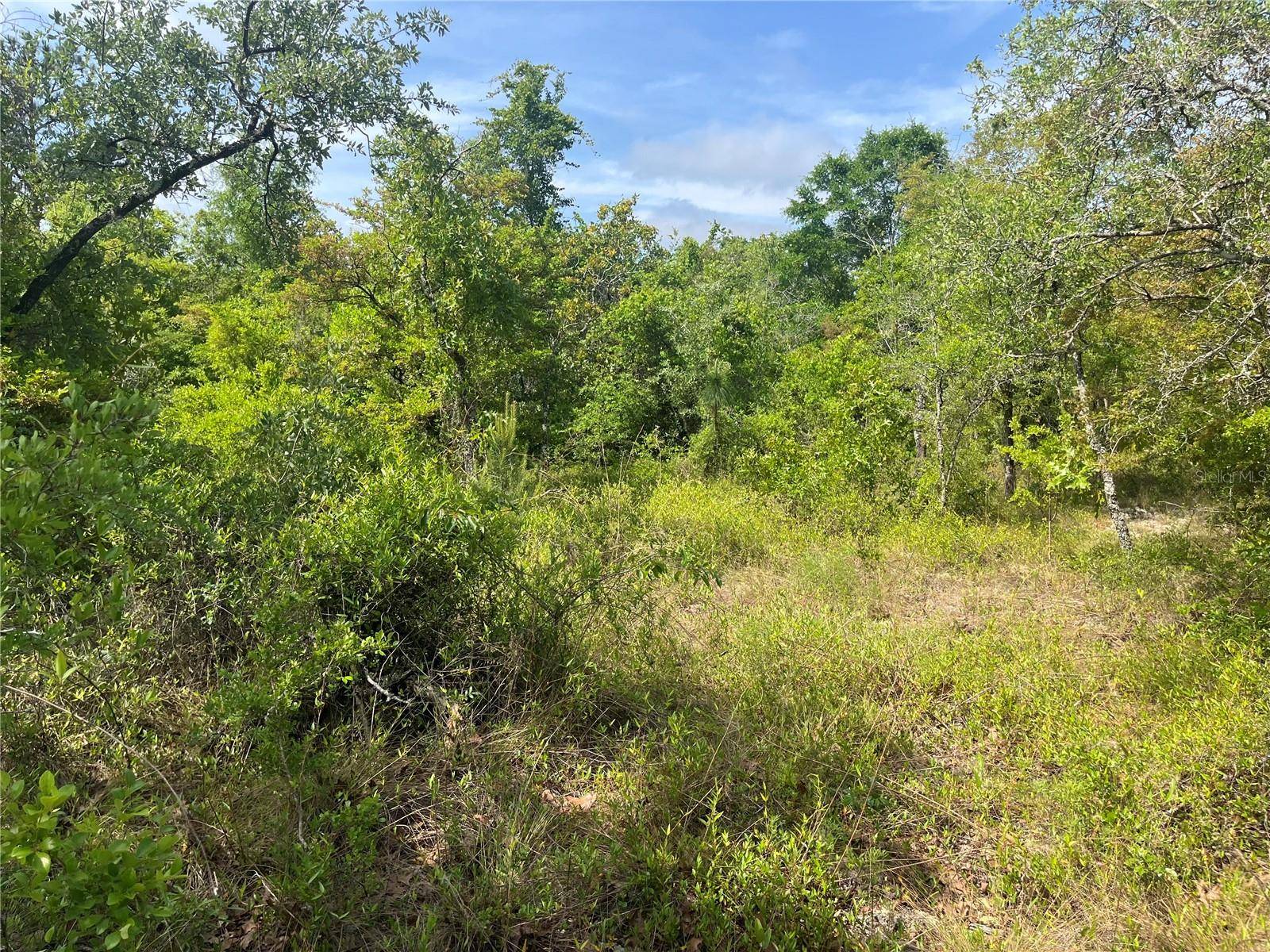 ROME AVE, Alford, FL 32420