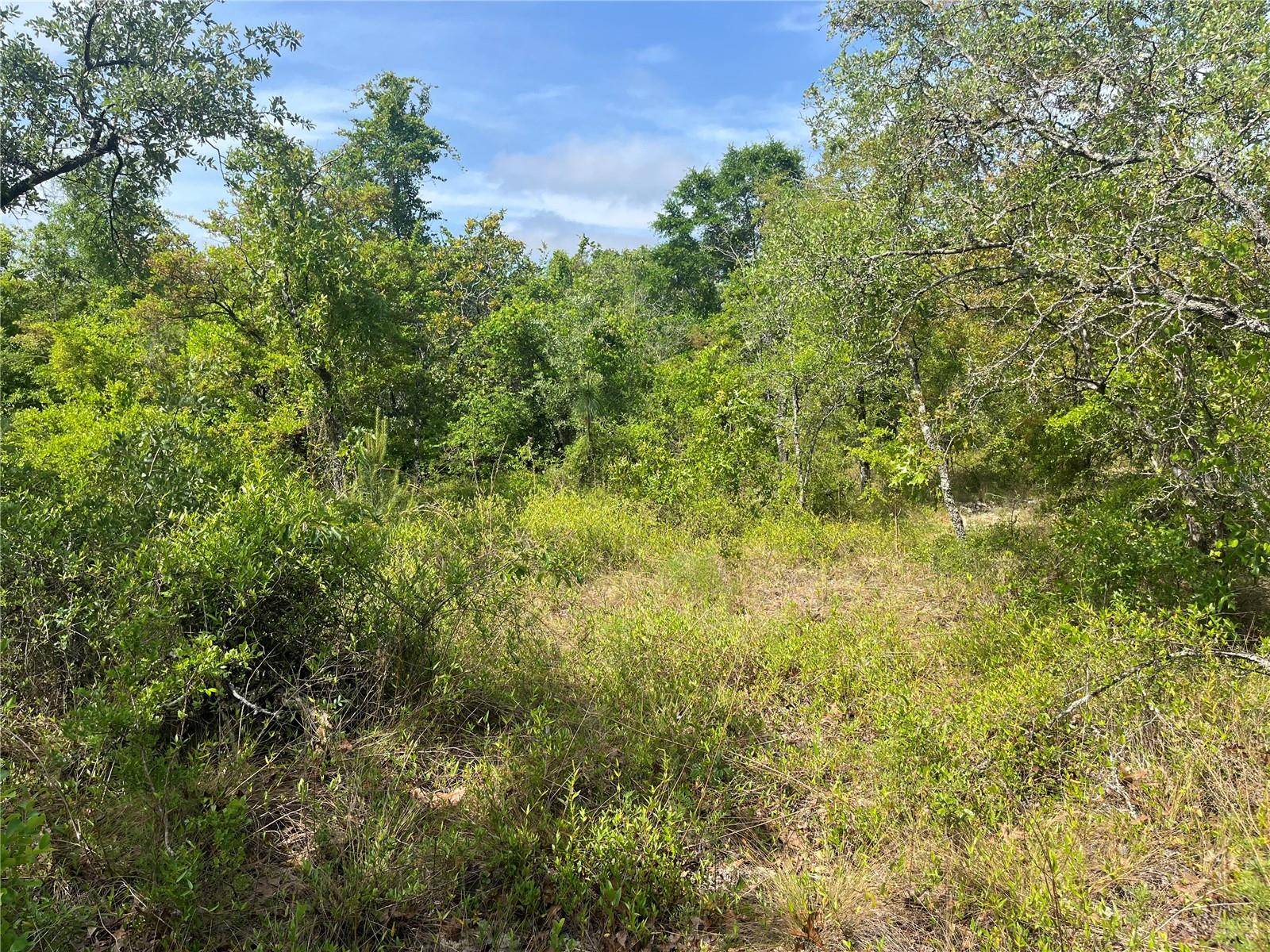 ROME AVE, Alford, FL 32420
