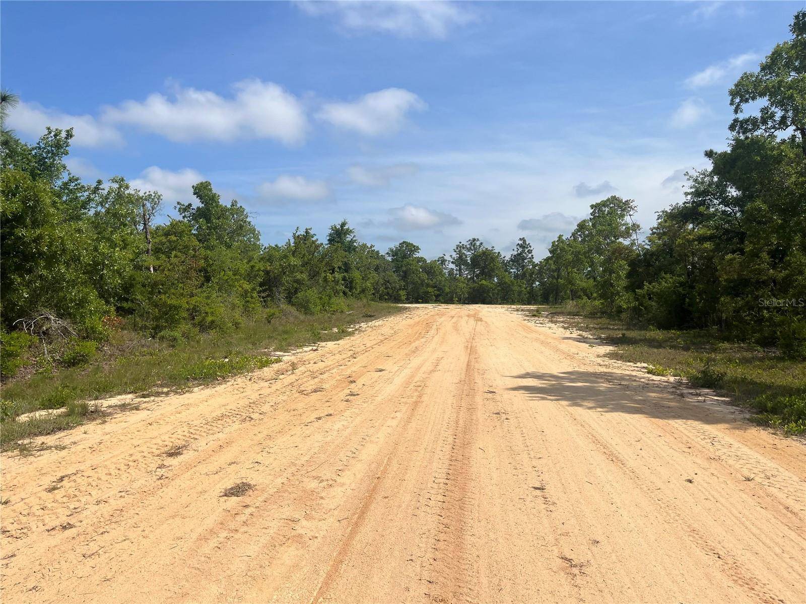ROME AVE, Alford, FL 32420