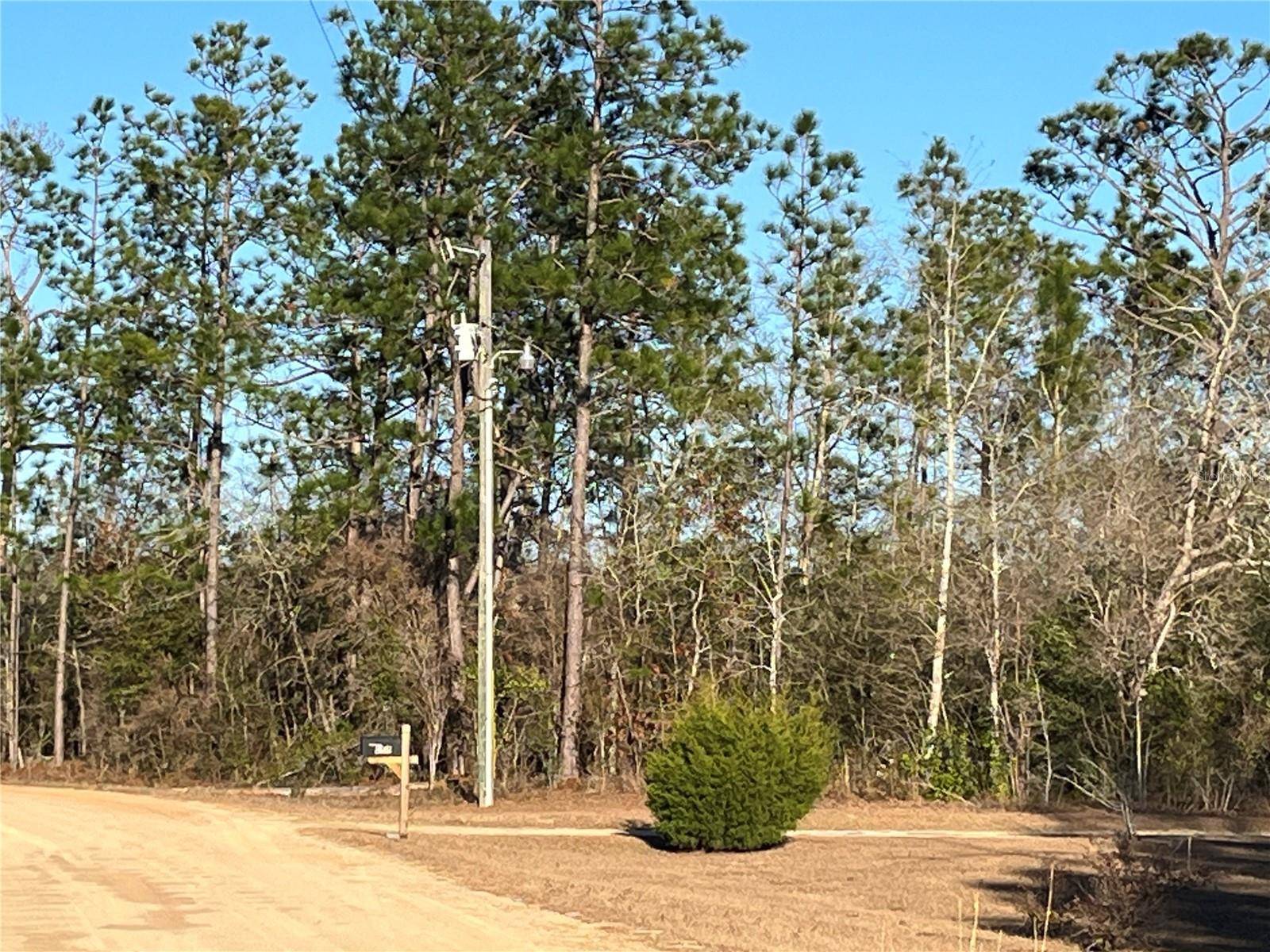GOREVILLE AVE, Alford, FL 32420
