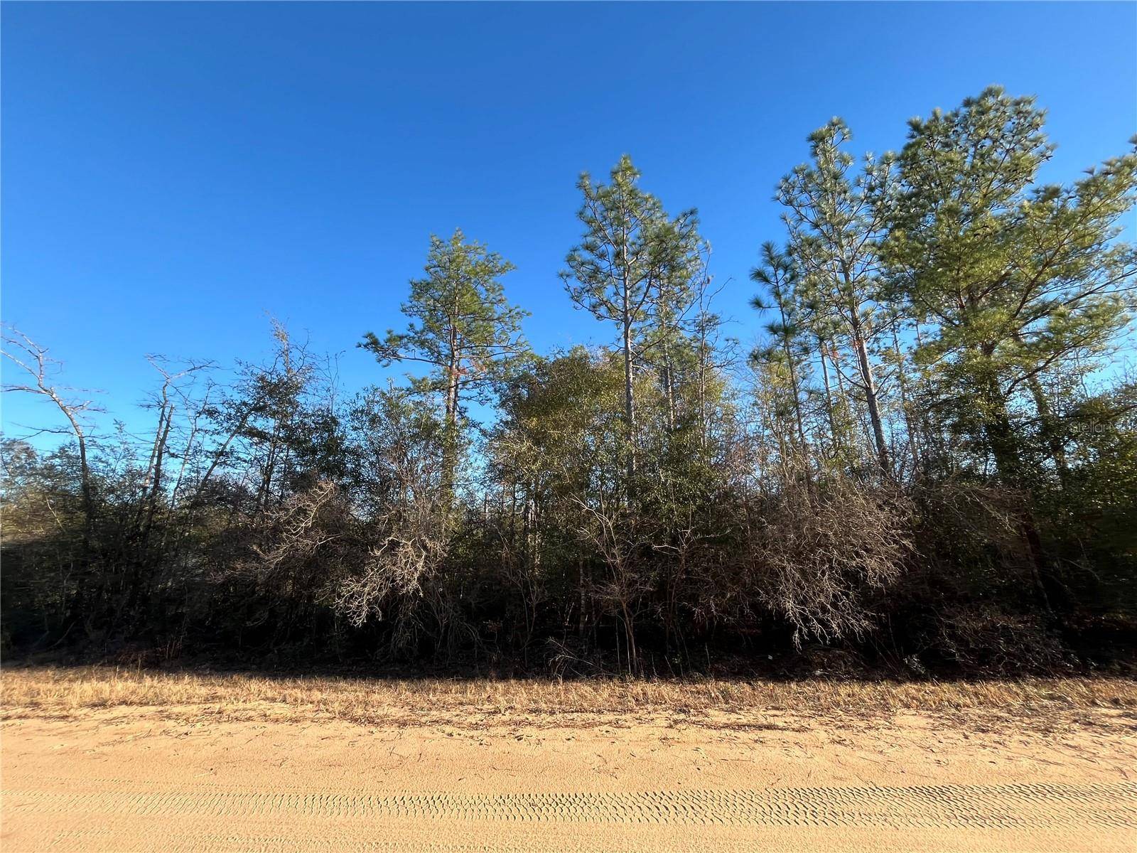 GOREVILLE AVE, Alford, FL 32420