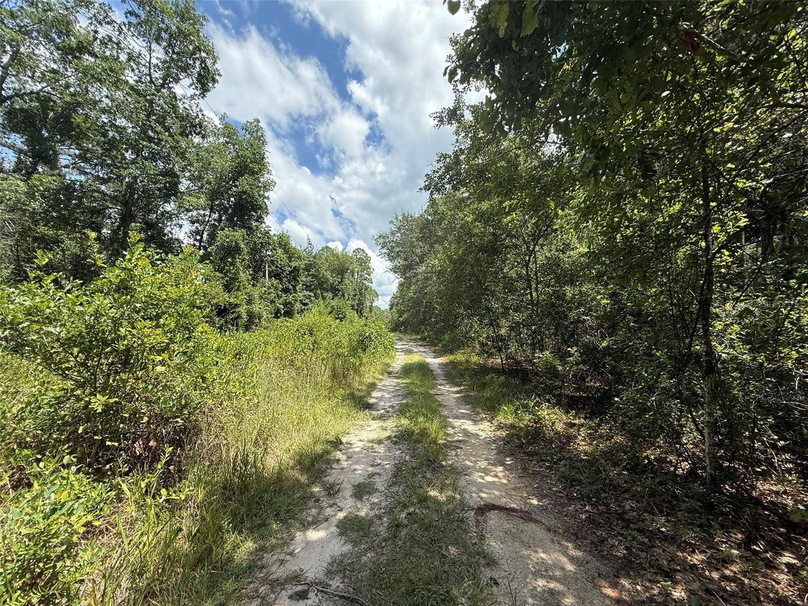 313 CALHOUN AVE, Florahome, FL 32140