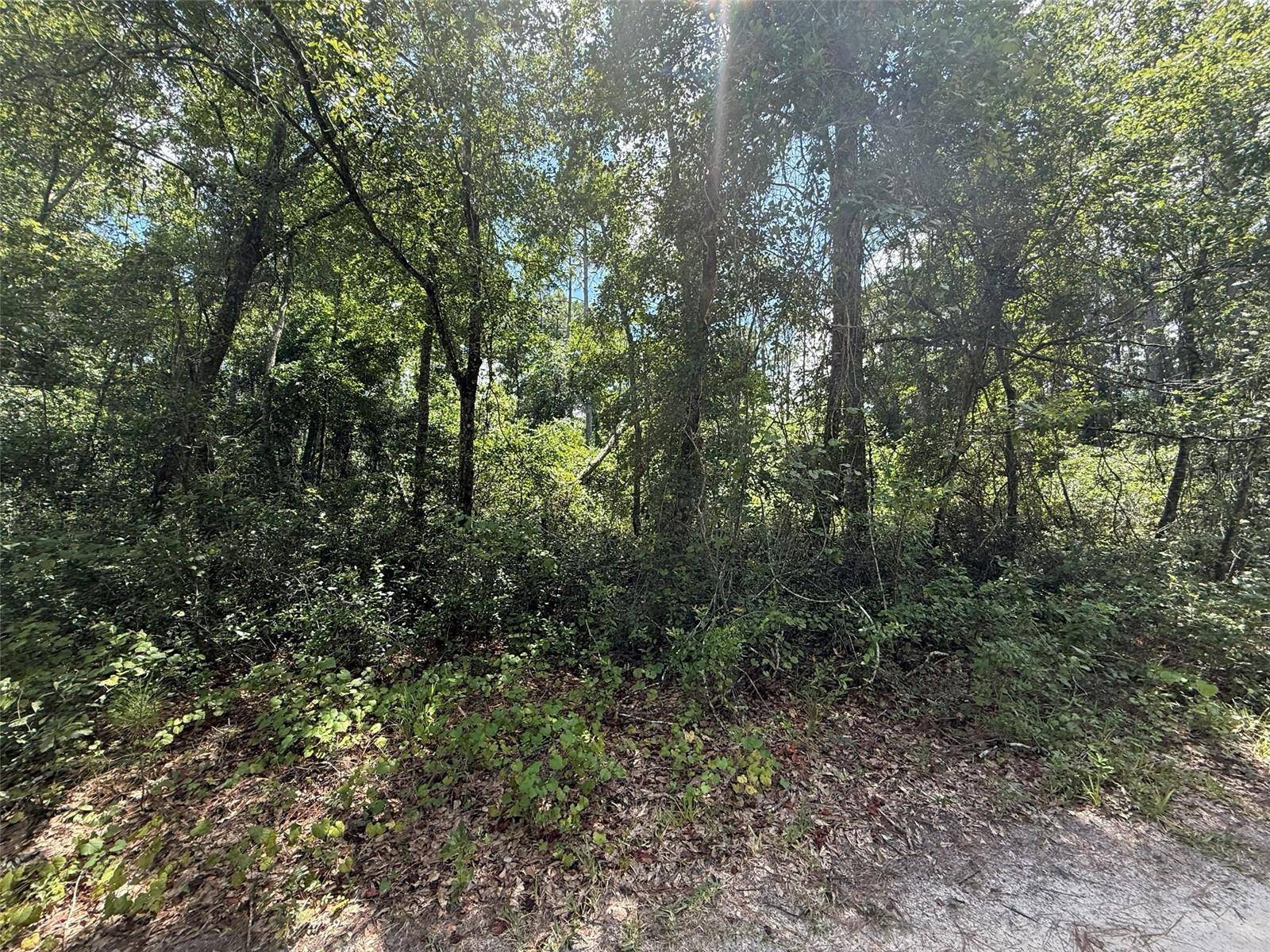 313 CALHOUN AVE, Florahome, FL 32140