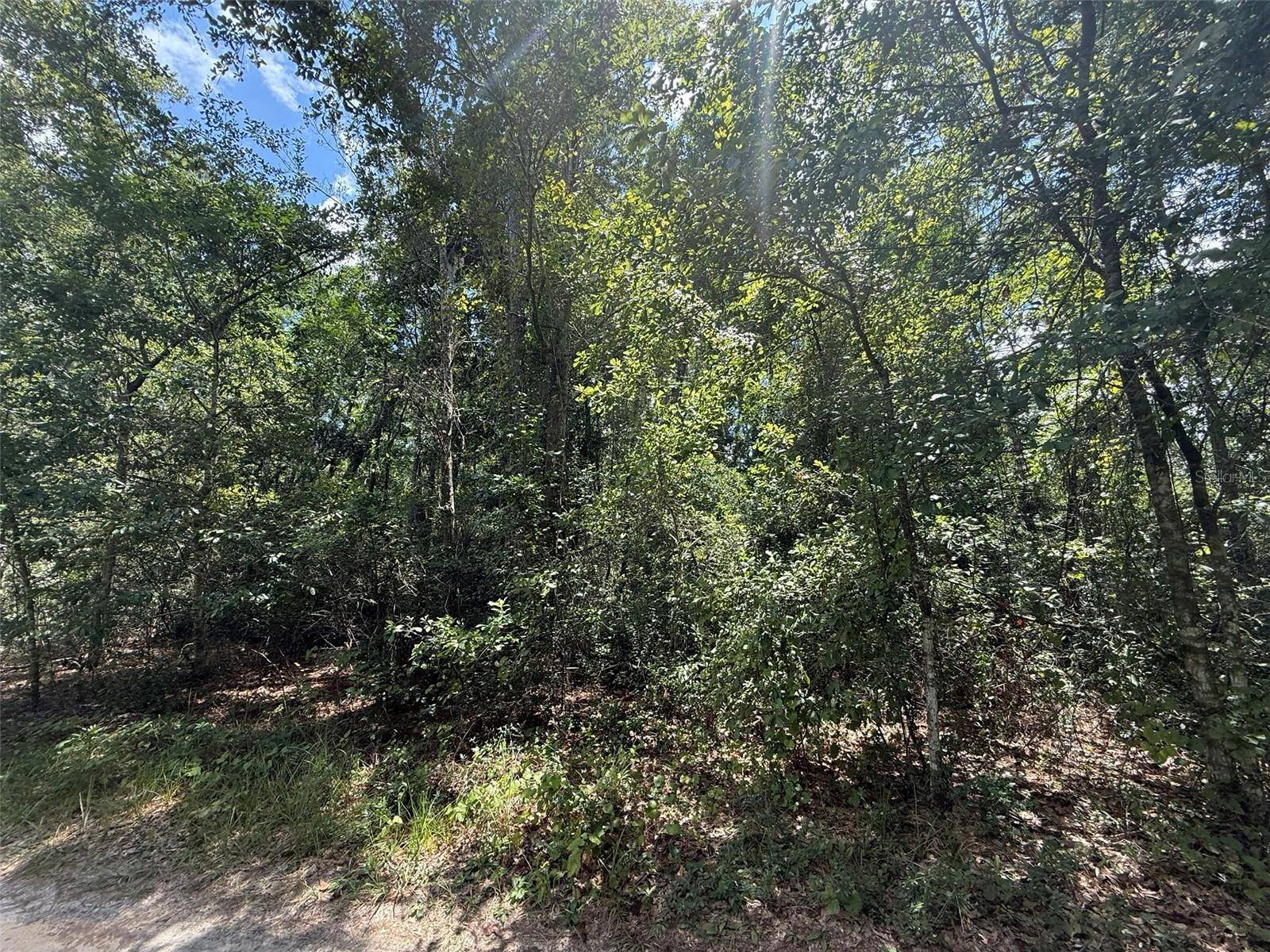 313 CALHOUN AVE, Florahome, FL 32140
