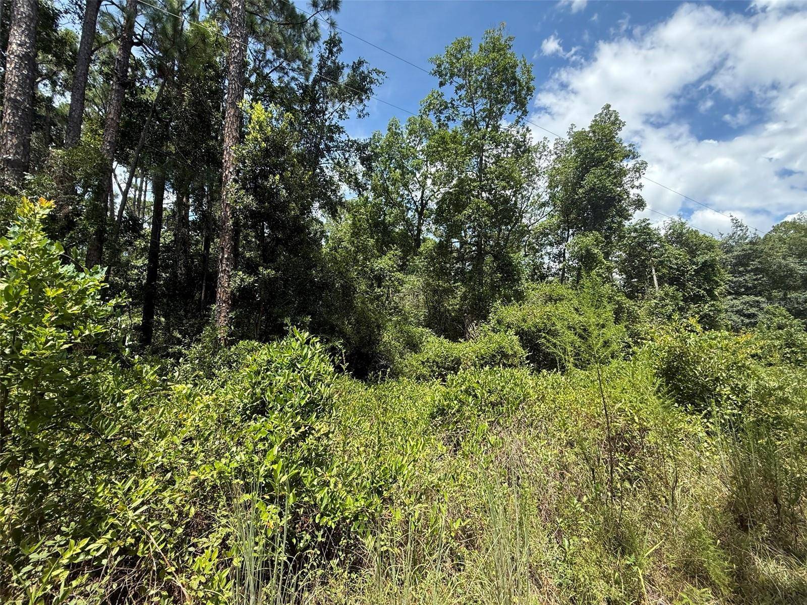 313 CALHOUN AVE, Florahome, FL 32140