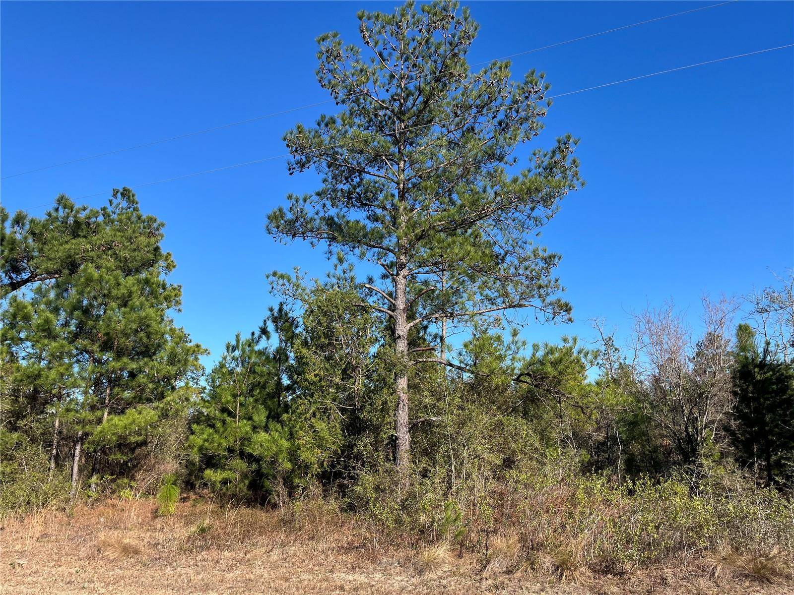 FAIRVIEW RD, Marianna, FL 32448
