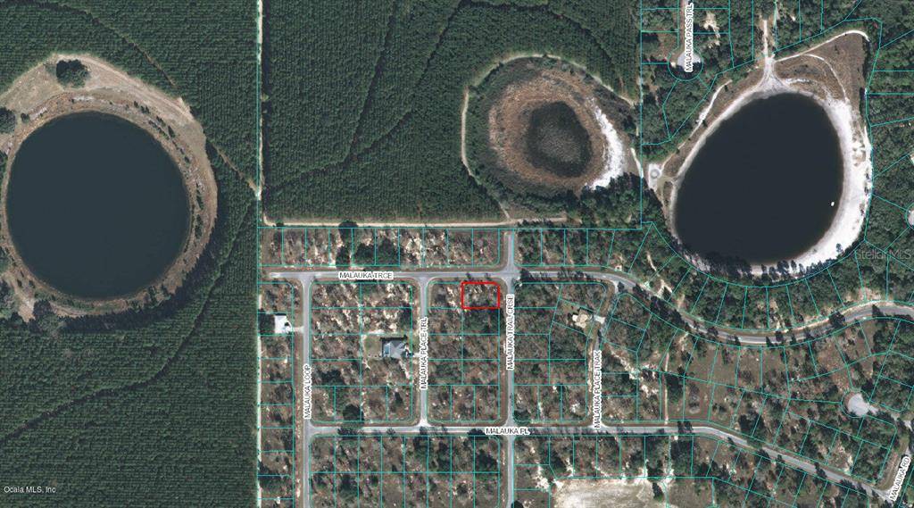 00 MALAUKA TRAIL CRSE, Ocklawaha, FL 32179