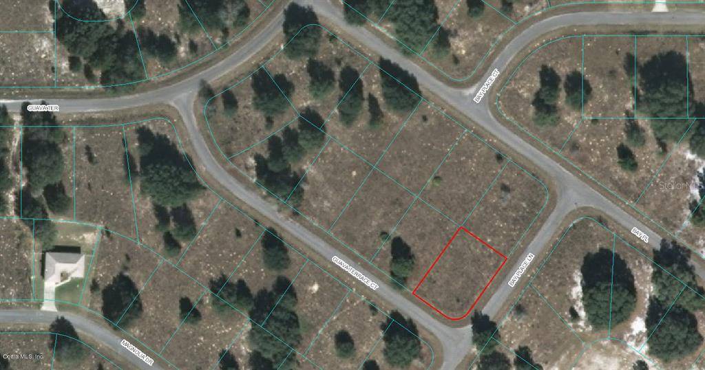 00 GUAVA TERRACE CT, Ocklawaha, FL 32179