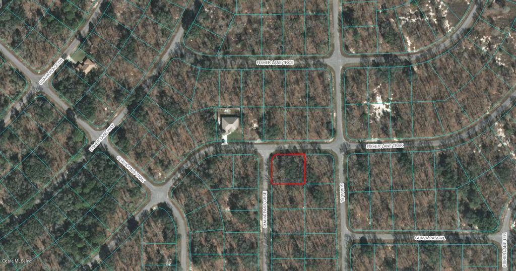00 GUAVA PASS CRSE, Ocklawaha, FL 32179
