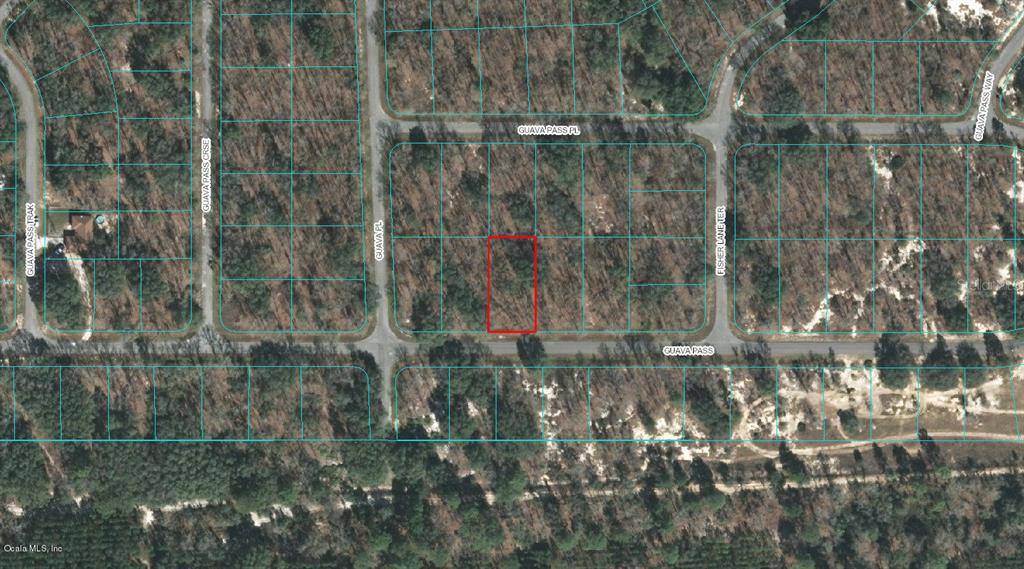 00 GUAVA PASS, Ocklawaha, FL 32179
