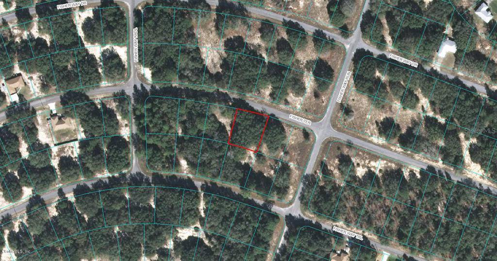 00 FISHER TER, Ocklawaha, FL 32179