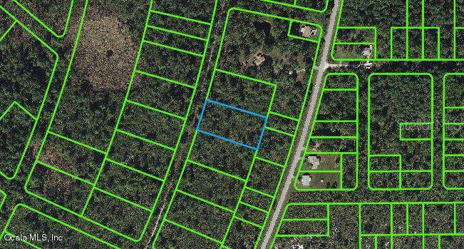 737 Dolphin AVE, Lake Placid, FL 33852