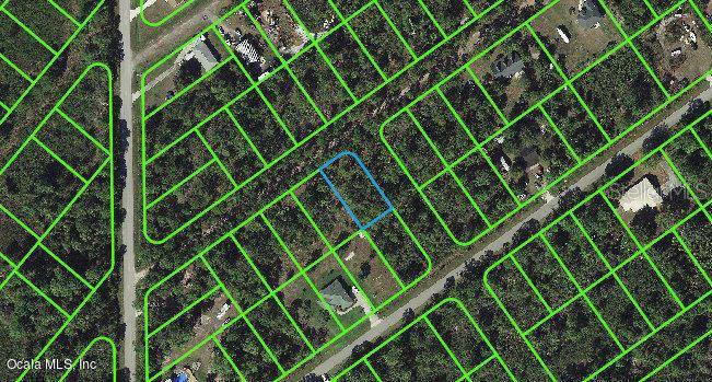 1011 Dearing ST, Lake Placid, FL 33852