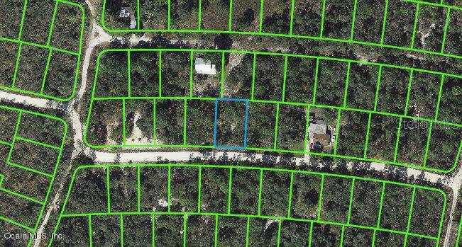 316 Cartier AVE, Lake Placid, FL 33852