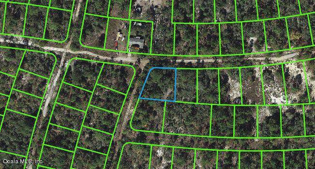 335 Sunny Side DR, Lake Placid, FL 33852