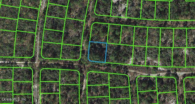 301 Sunny Side DR, Lake Placid, FL 33852