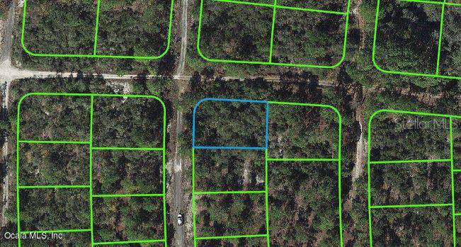 285 Imagination DR, Lake Placid, FL 33852