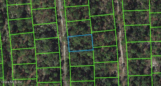 261 Imagination DR, Lake Placid, FL 33852