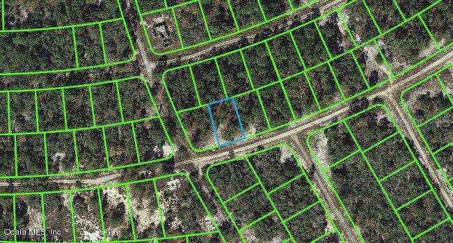 382 Hossler AVE, Lake Placid, FL 33852