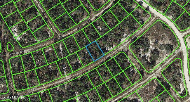 384 Showboat AVE, Lake Placid, FL 33852