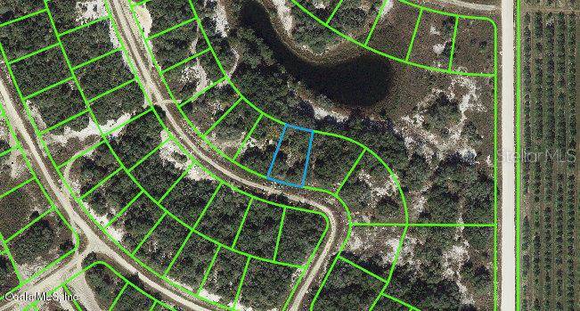 211 Dargen DR, Lake Placid, FL 33852
