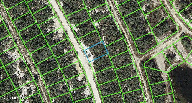 217 Hopedale DR, Lake Placid, FL 33852