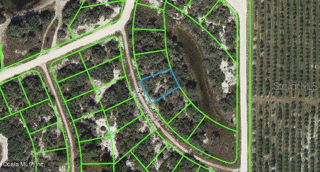 123 Danby DR, Lake Placid, FL 33852