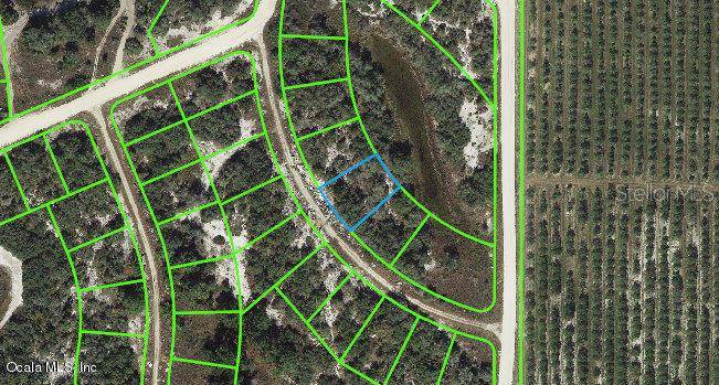 121 Danby DR, Lake Placid, FL 33852
