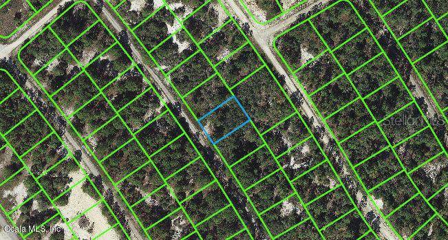 527 DREAMLAND DR, Lake Placid, FL 33852