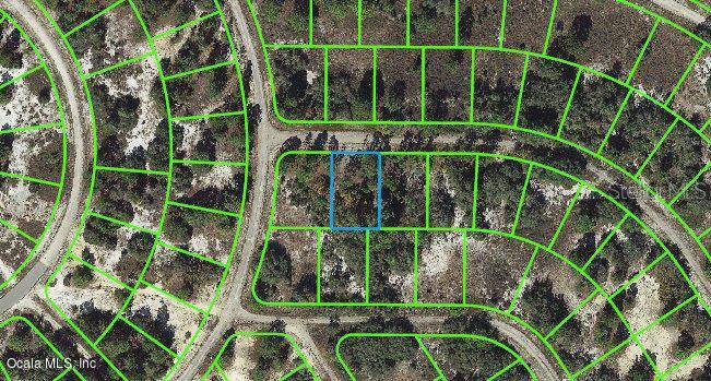 403 Hollow LN, Lake Placid, FL 33852