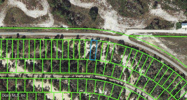 733 Cr 29, Lake Placid, FL 33852