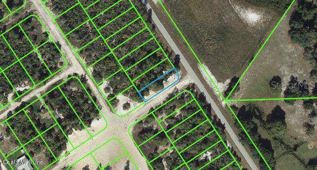 1015 Cr 29, Lake Placid, FL 33852