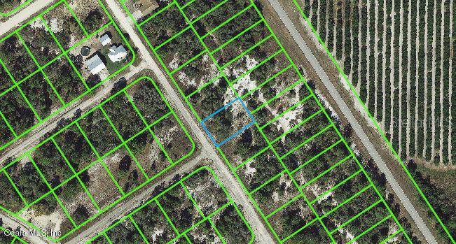 532 Morningside DR, Lake Placid, FL 33852