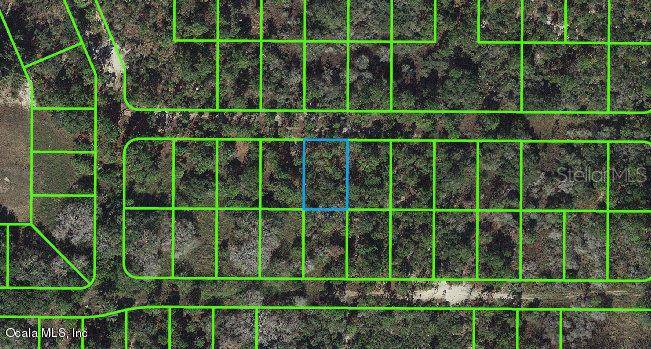 225 Tannery LN, Lake Placid, FL 33852