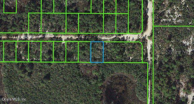 333 Claverton DR, Lake Placid, FL 33852