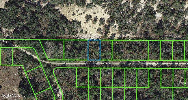 212 Rolling Hills DR, Lake Placid, FL 33852