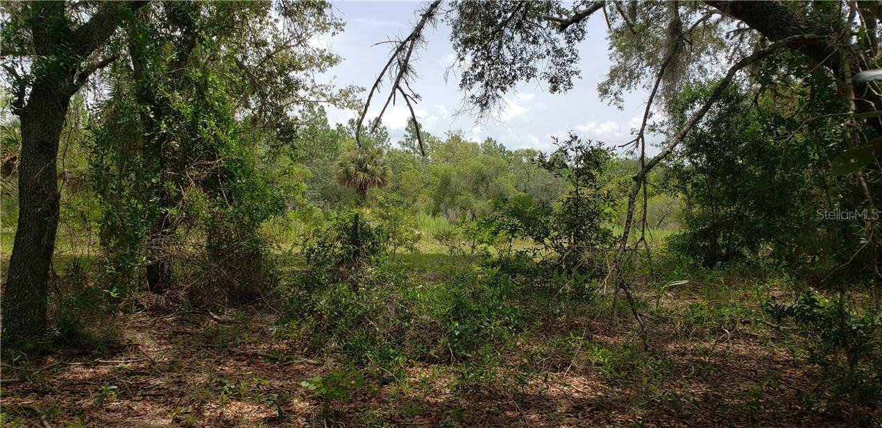 Lot 11 NE ALT HWY 27, Williston, FL 32696